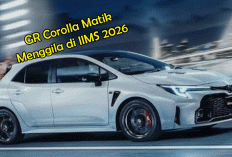 GR Corolla Matik Menggila di IIMS 2026: Harga Rp1,42 Miliar, Performa Tetap Buas!
