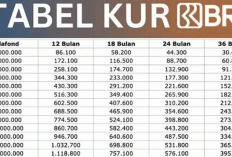 Tabel KUR BRI Desember 2025, Pinjaman Rp125 Juta Bunga 6%, Cicilan Mulai Rp2,4 Jutaan! Pelaku UMKM Wajib Tahu