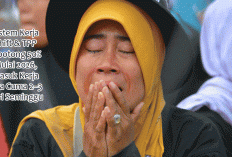 ASN Ambon Geger! Sistem Kerja Shift & TPP Dipotong 50% Mulai 2026, Masuk Kerja Bisa Cuma 2–3 Hari Seminggu