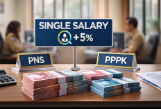 Perbandingan Penghasilan PNS dan P3K Jika Skema Single Salary Berlaku