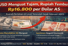 USD Menguat Tajam, Rupiah Tembus Rp16.800 per Dolar AS