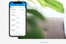 Platform Pinjaman Saldo DANA Resmi dan Cepat Cair per 11 November 2025: Solusi Keuangan Praktis di Ujung Jari