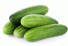 7 Manfaat Buah Ketimun untuk Kesehatan: Bisa Bantu Turunkan Darah Tinggi & Jaga Kulit Sehat