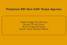 Tabel Cicilan Pinjaman BRI Non KUR yang Super Ringan Bikin Kaget, Update 30 Oktober 2025