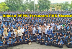 Ribuan PPPK Terancam PHK Massal! DPR Desak Penundaan Aturan Belanja Pegawai, Ini Dampaknya
