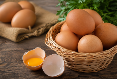 Rutin Makan Telur Ayam, Cara Mudah Penuhi Protein dan Jaga Kesehatan