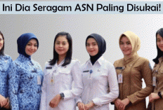 Ini Dia Seragam ASN Paling Disukai! Bukan Sekadar Wajib, Tapi Bikin Percaya Diri Saat Bertugas