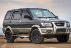 Bocoran Harga Isuzu Panther Bekas Desember 2025: Mulai Rp 40 Juta hingga Rp 255 Juta, Simak Rinciannya