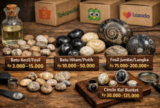 Harga Batu Kol Buntet Asli di Pasar Indonesia Januari 2026