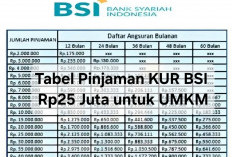 Tabel Pinjaman KUR BSI Rp25 Juta untuk UMKM, Margin Ringan dan Tanpa Biaya Provisi