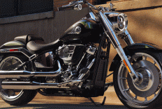 Harley Davidson Fat Boy 2026: Ikon Harley-Davidson yang Makin Brutal, Mewah, dan Tak Tertandingi!