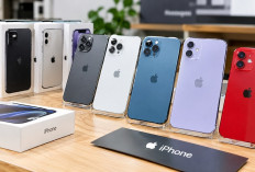 Mengintip Peluang Bisnis iPhone Bekas, Modal dan Strategi yang Perlu Disiapkan