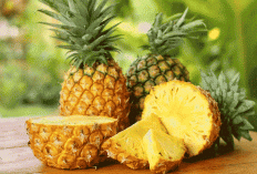 11 Manfaat Buah Nanas untuk Kesehatan Tubuh: Kaya Vitamin, Segar, dan Bikin Badan Lebih Fit