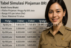Bank Mandiri dan BRI Tawarkan Pinjaman Khusus PNS dan PPPK November 2025: Syarat Mudah dan Proses Mudah