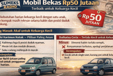 Budget Rp50 Jutaan Jangan Asal Pilih: Ini Mobil Bekas Paling Masuk Akal Buat Harian & Keluarga Kecil