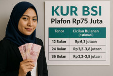 Tabel KUR BSI Plafon Rp75 Juta, Solusi Modal UMKM Berbasis Syariah dengan Cicilan Ringan