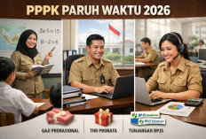 Gaji PPPK Paruh Waktu 2026 Resmi Diatur: Ini Rincian Upah, Tunjangan, dan Jam Kerjanya