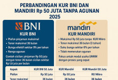 Perbedaan KUR BNI dan Mandiri Rp 50 Juta Tanpa Agunan 2025 untuk Pelaku Usaha Mikro