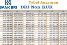 Bank BRI Buka Pinjaman Tanpa Agunan Guru PPPK: Briguna Karya Non KUR Rp 50 Juta dengan Cicilan Ringan 