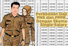 PNS vs PPPK: Siapa yang Kantongi Gaji Bersih Lebih Besar Jika Single Salary Terwujud 2026