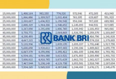 Tabel KUR BRI Tanpa Agunan: Solusi Pinjaman Rp20 Juta dengan Bunga Kompetitif