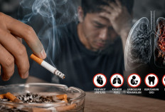 Jangan Anggap Sepele! Merokok Bisa Memicu Penyakit Mematikan