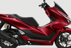 Honda PCX 2026, Skuter Elegan yang Kian Canggih, Irit, dan Siap Melahap Jalanan Urban