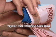 Gaji ASN Bakal Disatukan Mulai 2026? Ini Fakta Lengkap Skema Single Salary untuk PNS, PPPK, dan Guru