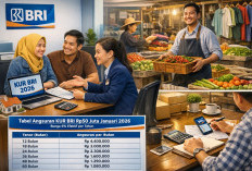 Tabel Angsuran KUR BRI Rp50 Juta Tanpa Agunan Januari 2026, Cicilan Mulai Rp1 Jutaan