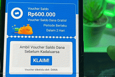 BISA CUAN JUTAAN! 5 Rahasia Trik Cerdas Mendapatkan Saldo DANA Gratis Langsung dari Aplikasi DANA di Tahun2025