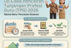 SAH! TPG Cair Bulanan, Ini Nominal yang Diterima PNS, PPPK, dan Non ASN