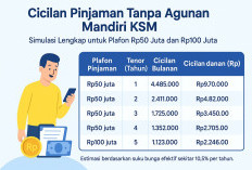 Tabel Cicilan Pinjaman Tanpa Agunan Mandiri KSM Bagi PNS PPPK: Simulasi Lengkap untuk Plafon Rp50 Juta dan Rp1