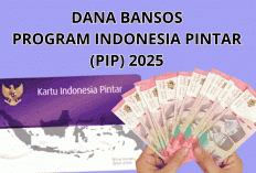Kabar Gembira Era Baru: Panduan Lengkap Cek & Pencairan Bantuan PIP 2025 - 2026