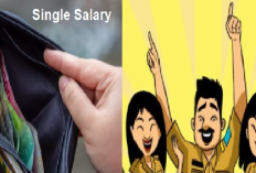 Single Salary ASN: Jabatan Dinilai, Gaji Ditentukan Lebih Objektif