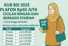 Skema KUR BSI 2025: Plafon Rp50 Juta, Cicilan Ringan dan Berbasis Syariah untuk UMKM