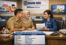 Bank BRI Buka Pinjaman Tanpa Agunan Khusus PNS dan PPPK, Plafon Tembus Rp250 Juta