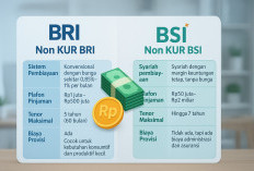 Perbandingan Pinjaman Non KUR BRI dan BSI 2025: Plafon, Sistem Pembiayaan, hingga Syarat Agunan
