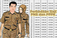 Perbandingan Gaji PNS dan PPPK di 2026: Struktur, Tunjangan, dan Status Pegawai