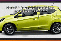 Honda Brio Satya E CVT Special Edition Resmi Meluncur di IIMS 2026, Punya Kamera 360 dan Layar 12 Inci