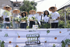 Dukung Program Strategis Pemerintah, BRI Terima Penghargaan dari Kementerian IMIPAS