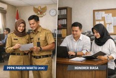 PPPK Paruh Waktu dan Honorer Biasa: Ini Perbedaan Status, Jam Kerja, hingga Aturan Seragam
