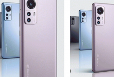 ​ Xiaomi 12 Pro Harmoni Sempurna Tiga Kamera 50MP dan Layar AMOLED, Desain Simetris nan Elegan