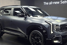 ​Manifesto Sang Penjelajah Urban Kia Seltos Concept  Dominasi di Persimpangan Jalan dan Belantara