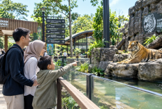 Menjelajah Kebun Binatang 2026, Harga Tiket dan Fasilitas yang Ditawarkan