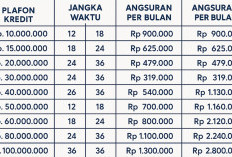 Pinjaman BRI dan BSI Bagi Guru Sertifikasi: Cicilan Ringan dan Tenor Panjang, Cek Tabelnya
