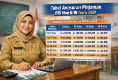 Pinjaman BRI Non KUR 2026 untuk Guru Serdik, Bunga 1 Persen Jadi Acuan