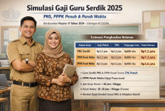 Perbedaan Gaji PNS vs PPPK Penuh Waktu dan Paruh Waktu Pemilik Serdik Jika Era Single Salary Terwujud
