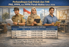 Perbandingan Gaji Pokok dan THR PNS, PPPK, dan PPPK Paruh Waktu Tahun 2026