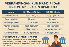 Mau KUR 50 Juta Tanpa Agunan? Ini Bedanya Mandiri dan BNI Tahun 2025