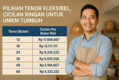 KUR BRI Rp 200 Juta: Pilihan Tenor Fleksibel, Cicilan Ringan untuk UMKM Tumbuh